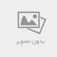 سئو